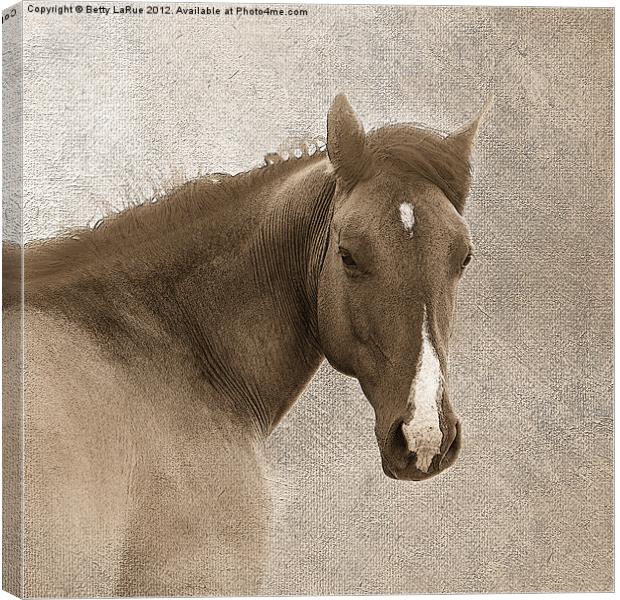 Sepia  Quarter Horse Canvas Print by Betty LaRue