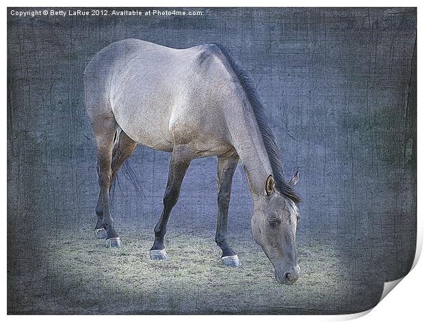 Quarter Horse Grazing in Blue Print by Betty LaRue