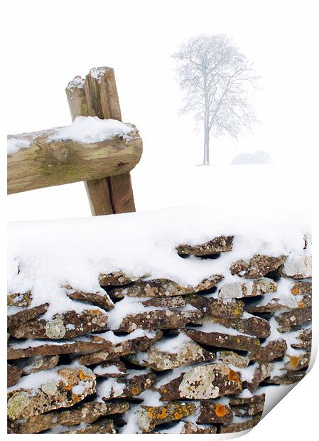 Cotswold drystone wall and field in winter Print by Steve Smith