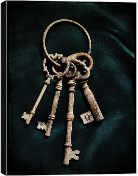 keys to the castle 2 Canvas Print by Heather Newton