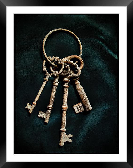 keys to the castle 2 Framed Mounted Print by Heather Newton