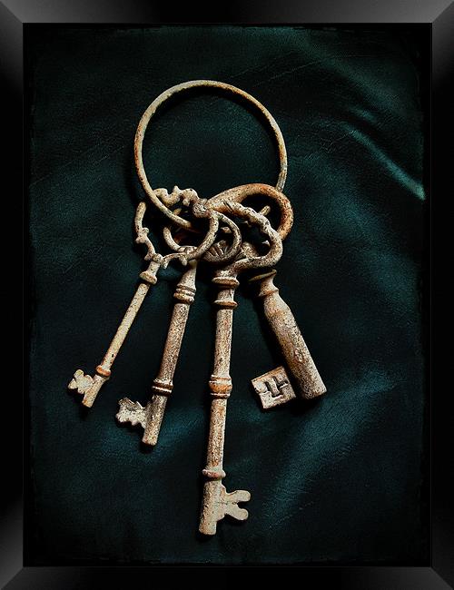 keys to the castle 2 Framed Print by Heather Newton