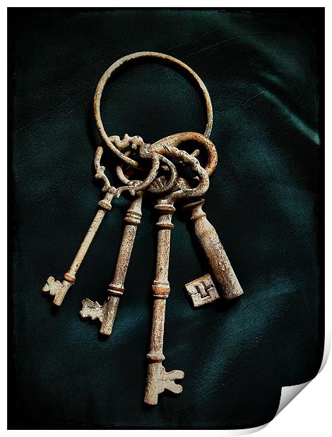 keys to the castle 2 Print by Heather Newton