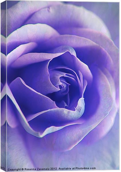 Blue Rose Textures. Canvas Print by Rosanna Zavanaiu