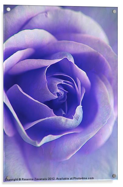 Blue Rose Textures. Acrylic by Rosanna Zavanaiu