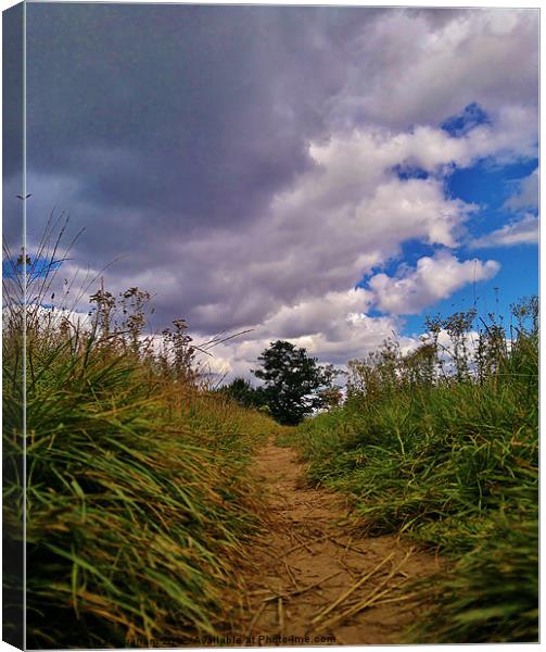 pathway to summertime Canvas Print by mark graham