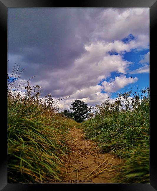 pathway to summertime Framed Print by mark graham
