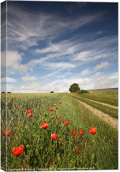 A Walk in the Country Canvas Print by Graham Custance