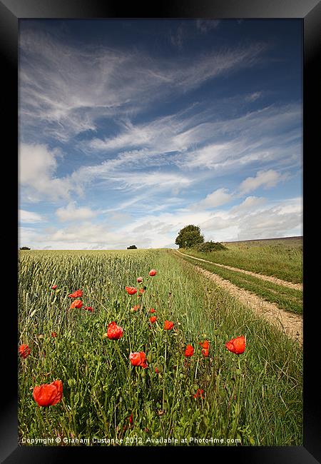 A Walk in the Country Framed Print by Graham Custance