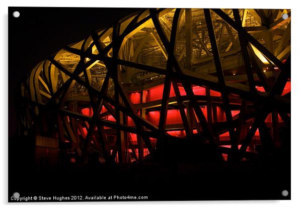Beijing Birds Nest AT Night Acrylic by Steve Hughes