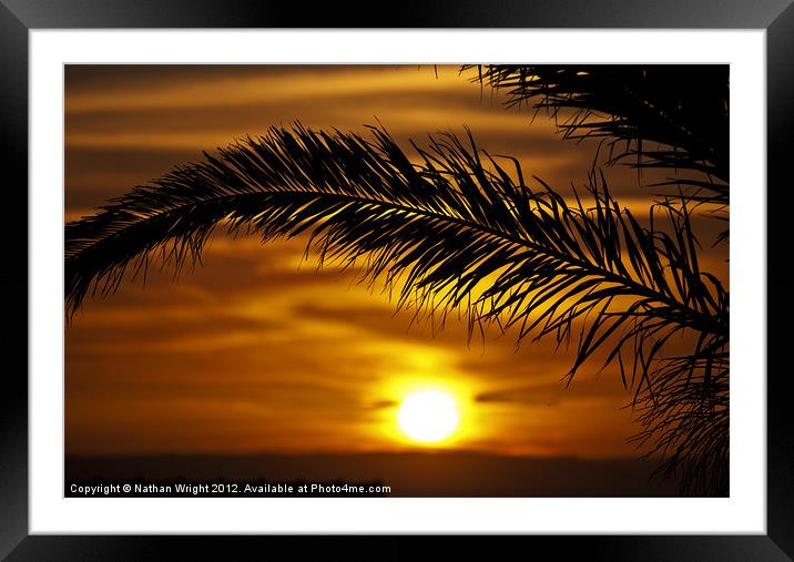 Palm sunset Framed Mounted Print by Nathan Wright