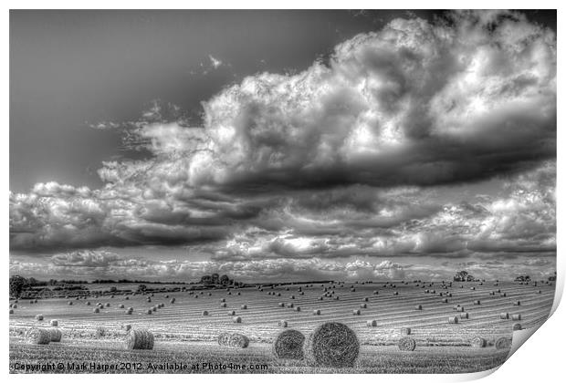 Harvest time.... Print by Mark Harper