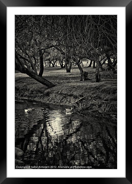 Tree and Stream Framed Mounted Print by Isabel Antonelli