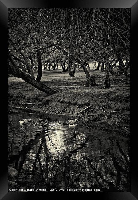 Tree and Stream Framed Print by Isabel Antonelli