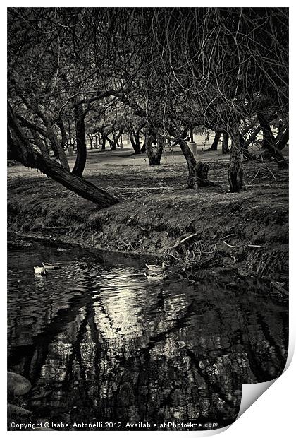 Tree and Stream Print by Isabel Antonelli