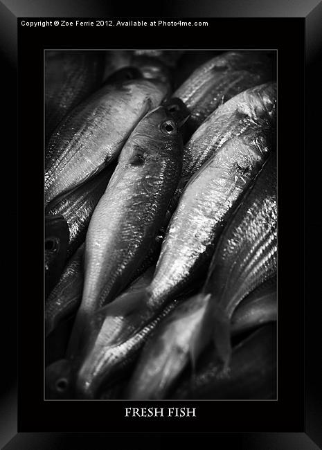 Fresh fish at the Market Framed Print by Zoe Ferrie