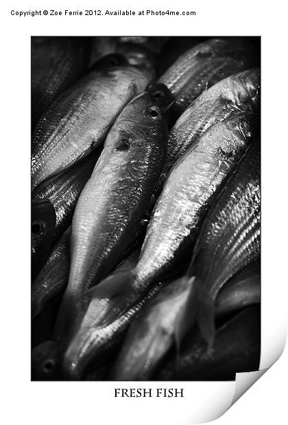 Fresh fish at the Market Print by Zoe Ferrie