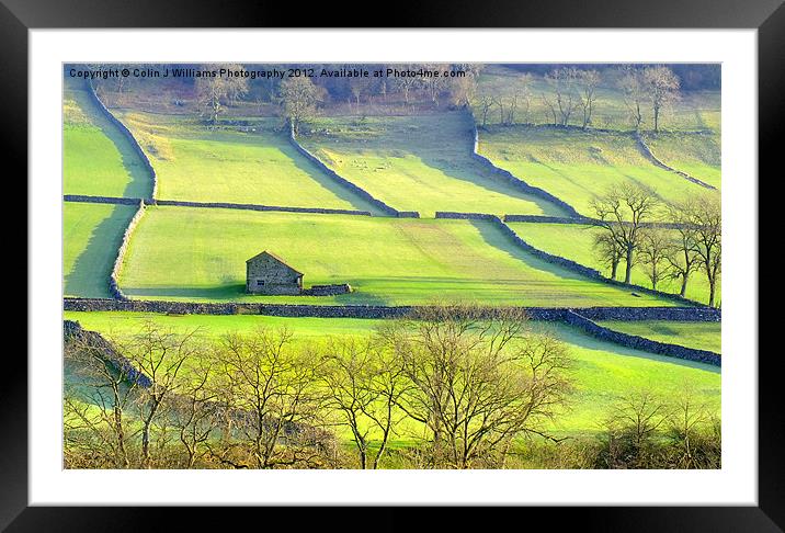 The Yorkshire Dales Framed Mounted Print by Colin Williams Photography
