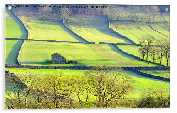 The Yorkshire Dales Acrylic by Colin Williams Photography