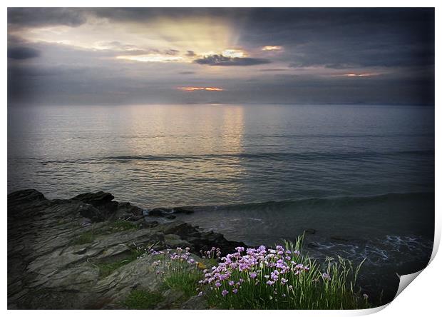 EVENING LIGHT St BRIDES BAY #1 Print by Anthony R Dudley (LRPS)