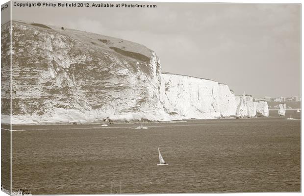 White Cliff's of Swanage Canvas Print by Philip Belfield