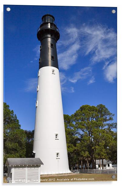 Hunting Island Lighthouse, South Carolina Acrylic by Louise Heusinkveld