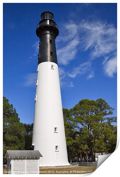 Hunting Island Lighthouse, South Carolina Print by Louise Heusinkveld
