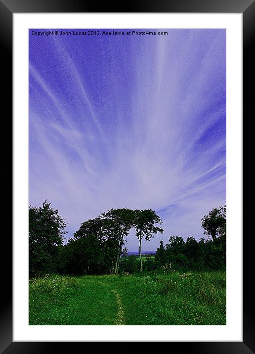 Treetop cloudscape Framed Mounted Print by John Lucas