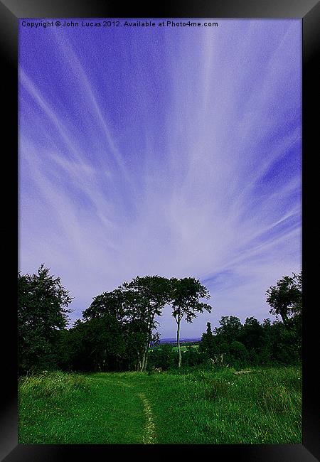 Treetop cloudscape Framed Print by John Lucas