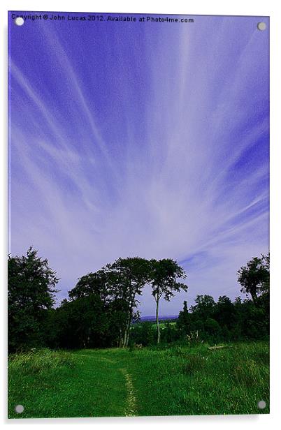 Treetop cloudscape Acrylic by John Lucas