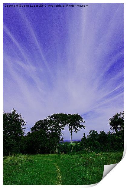 Treetop cloudscape Print by John Lucas