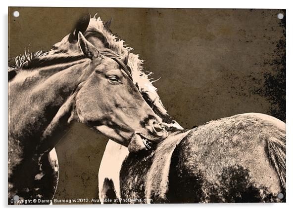 Textured Horses Acrylic by Darren Burroughs