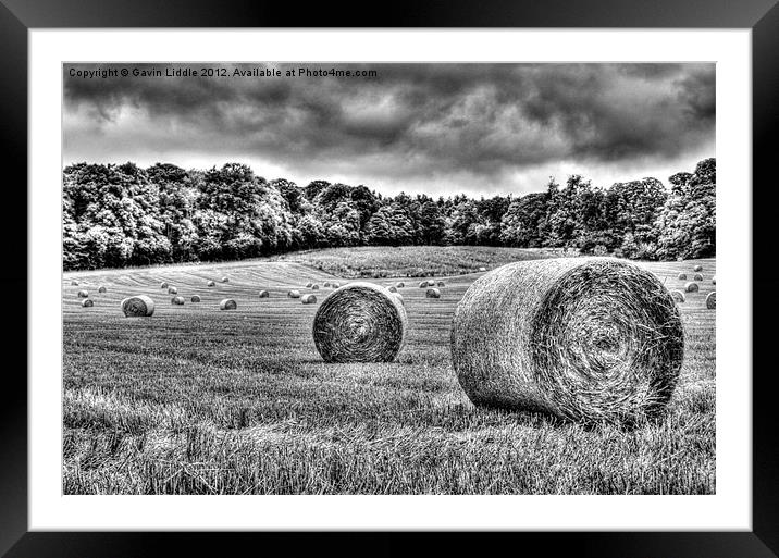 Hay Bales BW 2 Framed Mounted Print by Gavin Liddle