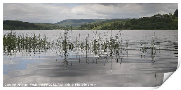 Llwyn Onn Summer reflection Print by Creative Photography Wales