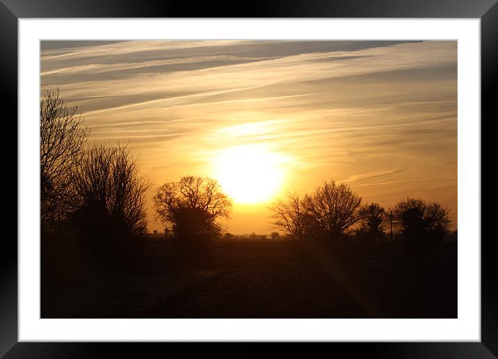 Rise and Shine Limpenhoe... Framed Mounted Print by Shelly Bennett