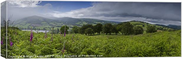 Waun Rydd Summer Panorama Canvas Print by Creative Photography Wales