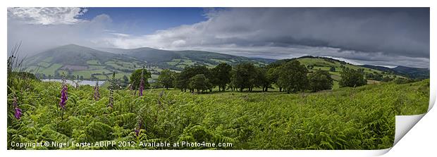 Waun Rydd Summer Panorama Print by Creative Photography Wales