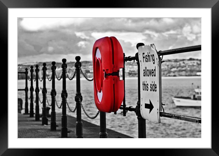 Oh Bouy!! Framed Mounted Print by Becky Dix