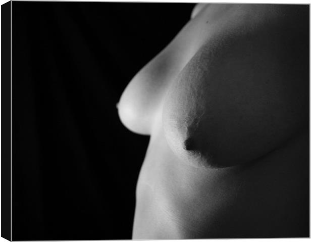 Black & White Topless Nude Art Canvas Print by Richie Fitzgerald
