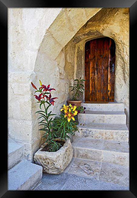 Past the flowerbeds up the steps Framed Print by Arfabita  
