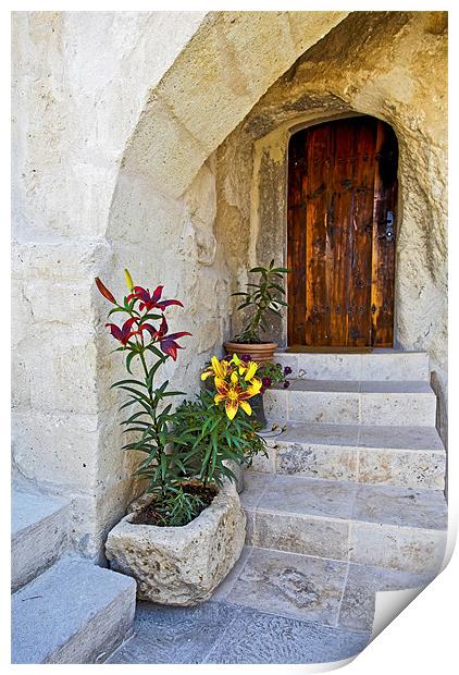 Past the flowerbeds up the steps Print by Arfabita  