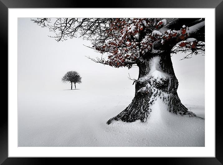 Oak in the snow Framed Mounted Print by Robert Fielding