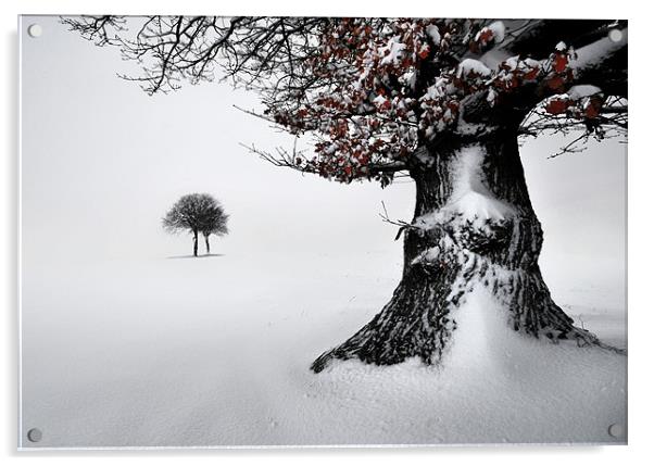 Oak in the snow Acrylic by Robert Fielding