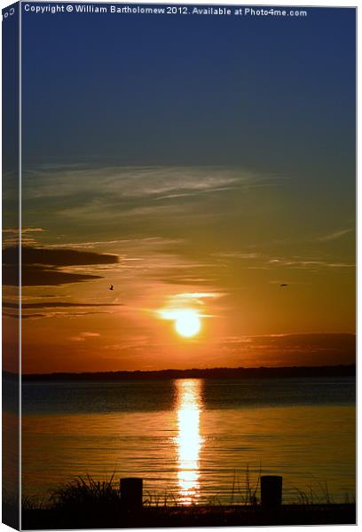 Shades of the Sun Canvas Print by Beach Bum Pics