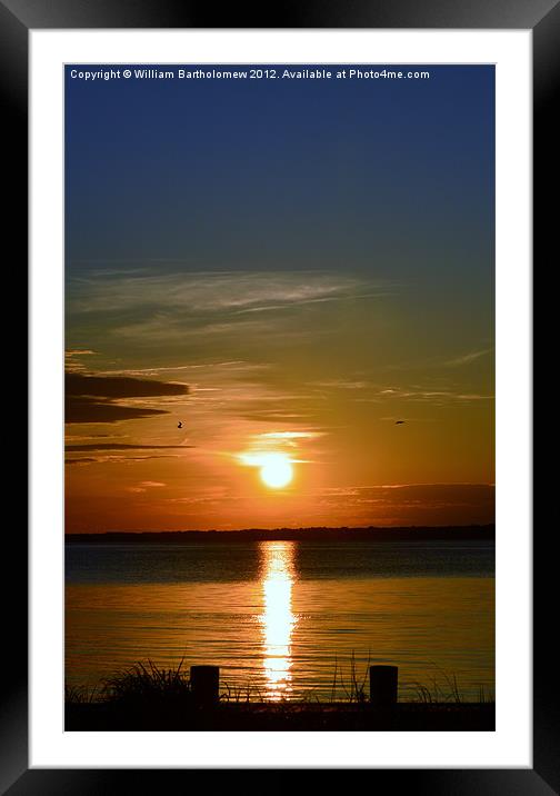 Shades of the Sun Framed Mounted Print by Beach Bum Pics
