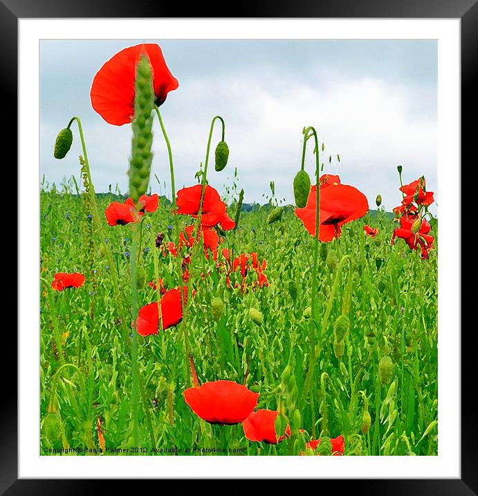 Poppy field! Framed Mounted Print by Paula Palmer canvas