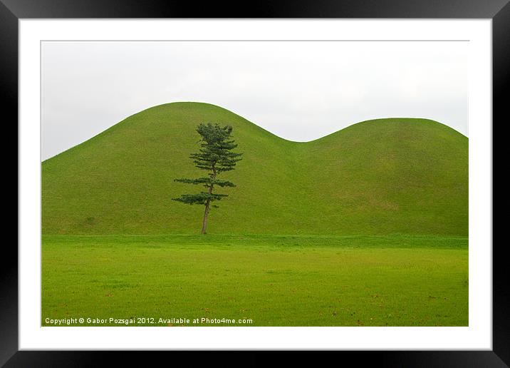 Hill tombs and tree, Korea Framed Mounted Print by Gabor Pozsgai