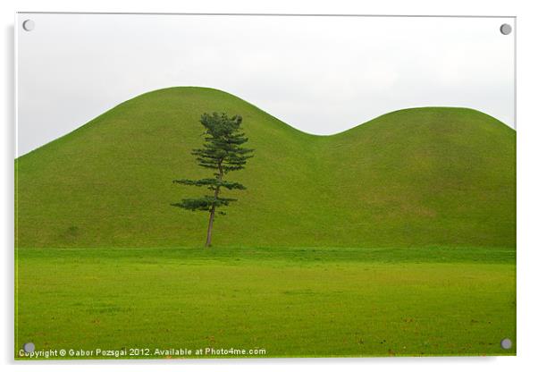 Hill tombs and tree, Korea Acrylic by Gabor Pozsgai