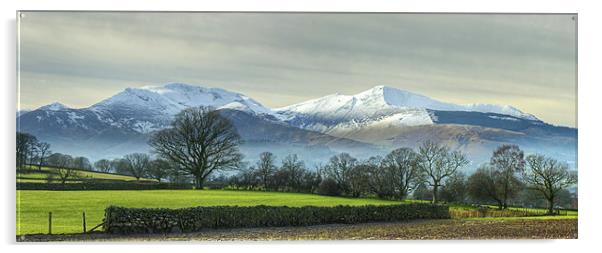 The Coledale Round Acrylic by Jamie Green