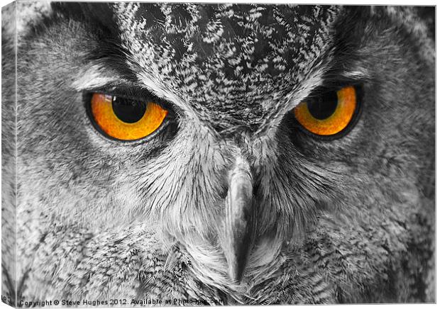 European Eagle Owl Bright eyes Canvas Print by Steve Hughes